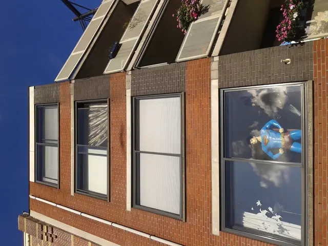 Top Indoor Flora Choices for Allergy Sufferers