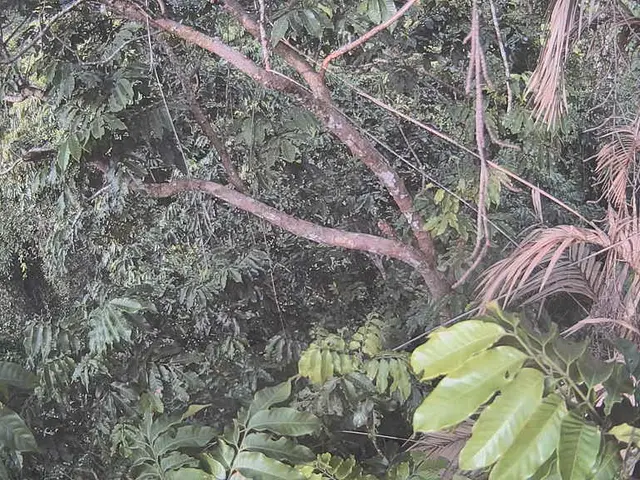 Palm Rash: Causes, Visuals, and Remedies