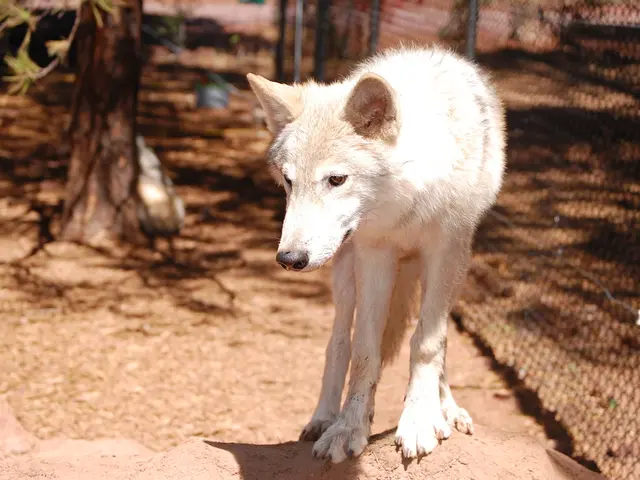 "Concerning developments": Remarks made by the Supreme Court as they acknowledge an increase in...