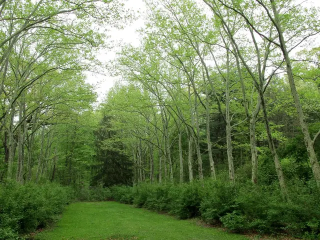 Reduced Environmental Impact of Vegan Diet Compared to High-Meat Diet: A Breakdown Reveals It's...