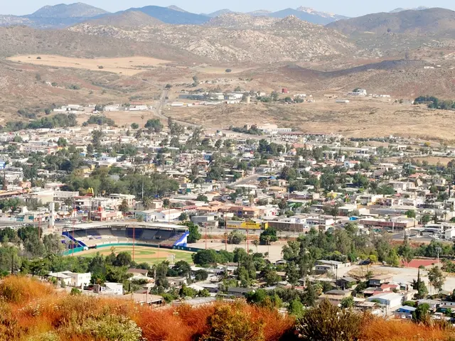 Predictive Machine Learning Techniques for Identifying Undecided Voters in India