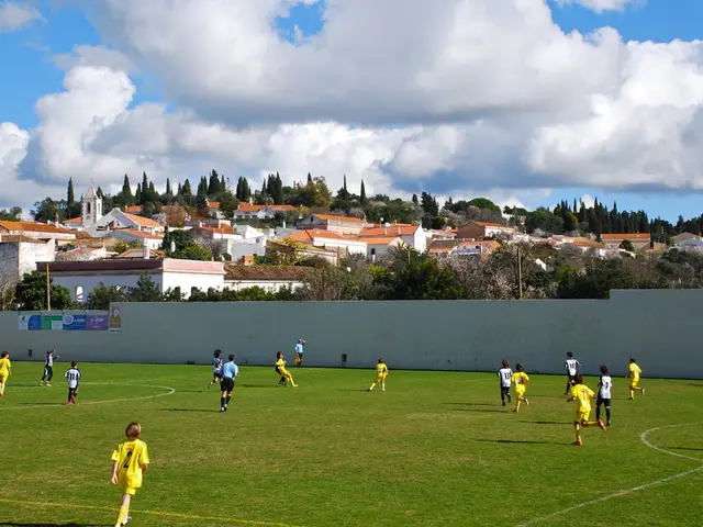 Functioning of Pandemics