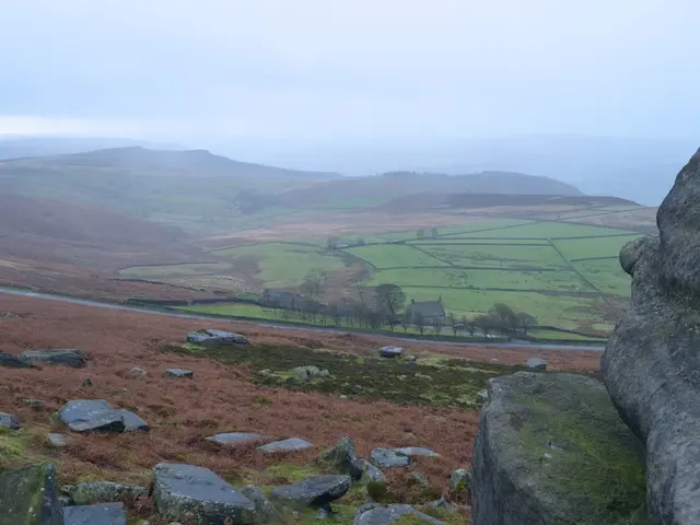 Wet season yields insufficient recovery for Doñana's aquifers, according to the Junta's assertion...