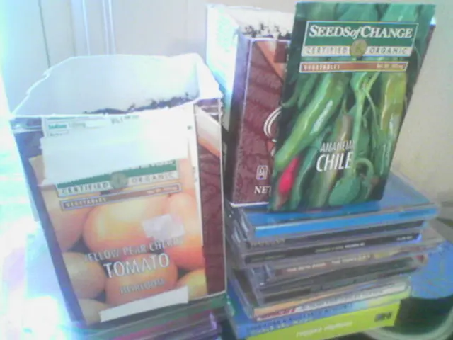 Child Psychological Issues: Recognizing Symptoms and Solutions