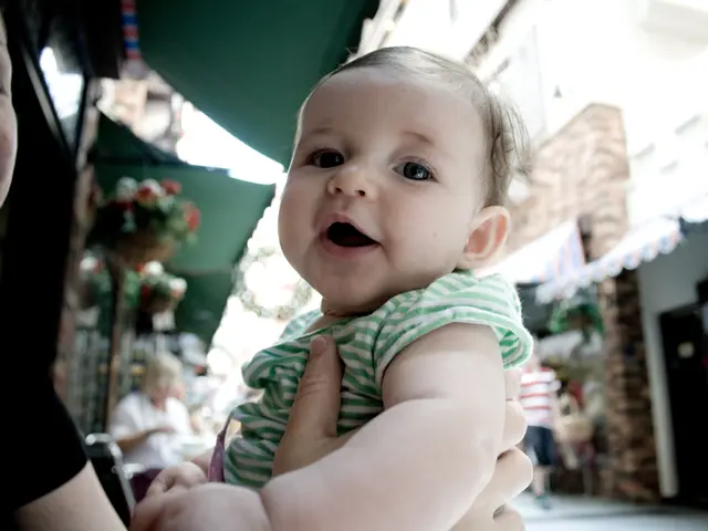 Future of Parental Rights and Property Disputes is Influenced by Family Law Decisions