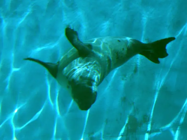 Is it true that breaking the seal while drinking alcohol holds some significance?