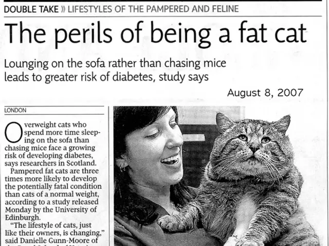 Escalating home insecurities lead to increased backing for women's shelters and counseling...