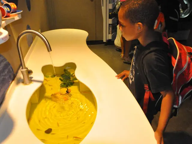 Essential Role of Water Consumption and Hydration in Enhancing Health of Nigerian Children