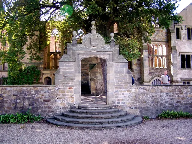 Derek Shannon - Identified Individual in Focus