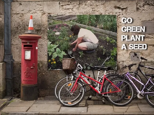 Cycling Safety: Removing Risks of Dooring Incidents for Accident-Free Biking