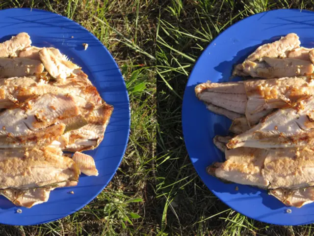 Commission will enforce this Regulation by creating and enforcing the specific rules for its...