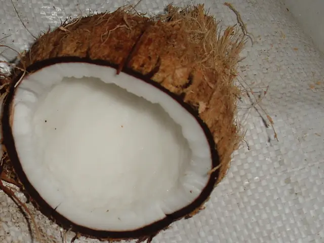 Thyroid health and coconut oil: Is it effective?