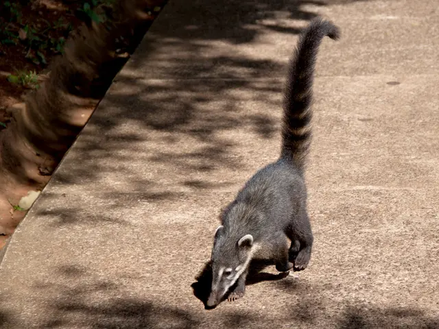 Side Effects of Xospata: Varying from Mild to Severe, with Recommended Action Strategies