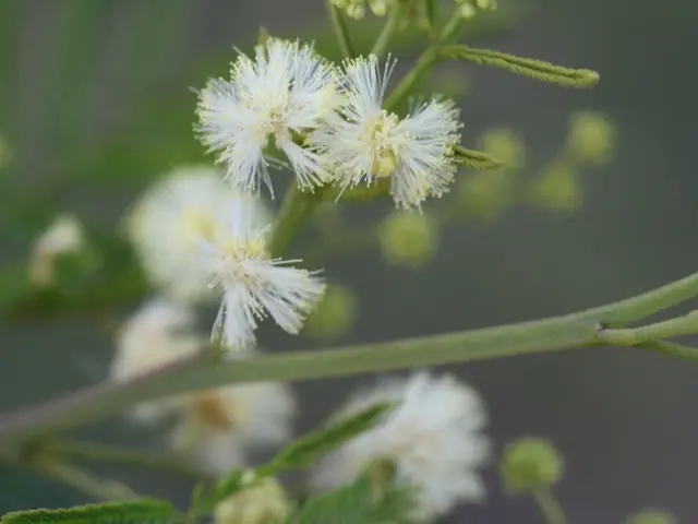 Human Vulnerabilities: Explored Through a Catalogue of Weak Points and Illustrative Examples