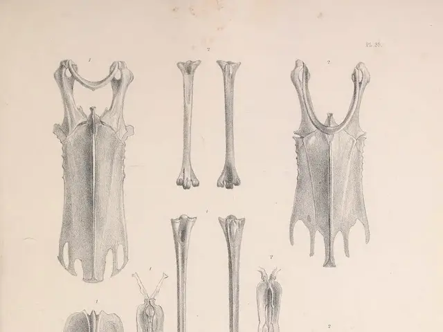 Quantity and Varieties of Cells Constituting the Human Physique