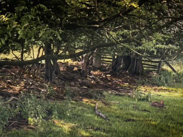 Managing invasive plants: Strategies for combating Bartsia alpina (Bortsch weeds)