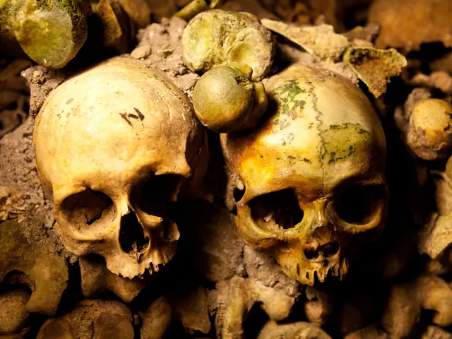 Delay in Body Identification Process Explained