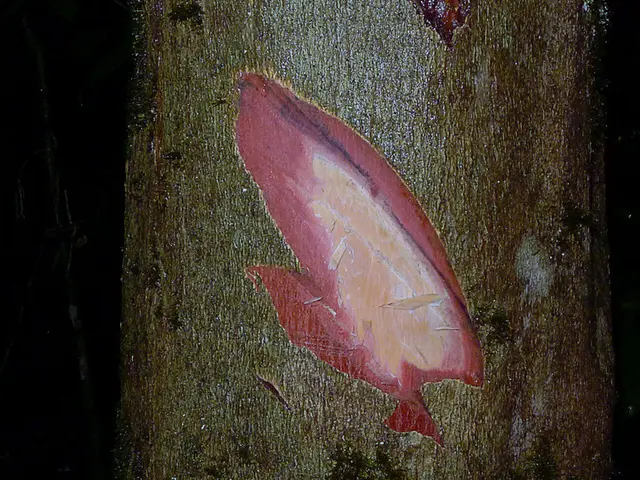 Financial Support of $4.5 Million Bolsters Ongoing Efforts to Utilize Stem Cells for Treating...