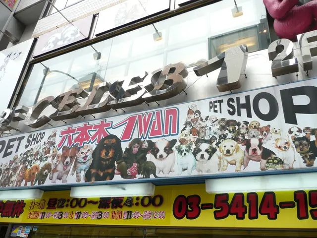 The Understanding of Persistent News Scrolling and Its Psychological Implications