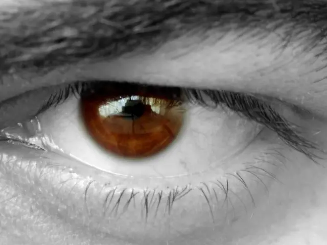 Genetic Puzzle Solved: Discovering the Inheritance Patterns of Eye Colors