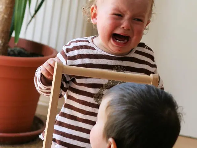 Child sustains critical injuries after tumbling from a window.