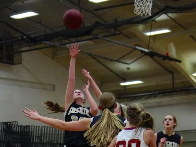 Unusual Incident Involving a Dildo at a WNBA Game: Important Aspects to Ponder