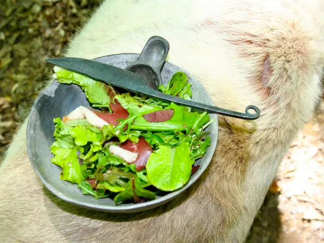 Dog licking proves fatal for woman, leaving an expert to offer a cautionary statement