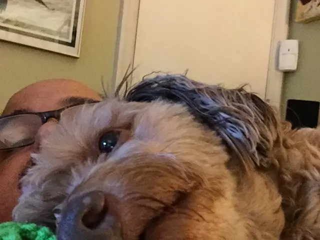 Mystery of Yawning: 4 Theories + Bonus Hack Insight