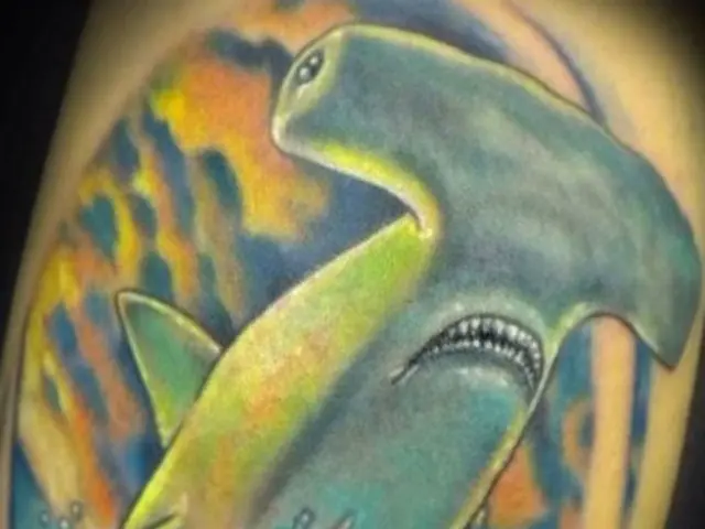 Detergent contamination suspected as cause for fish deaths in Rodgau