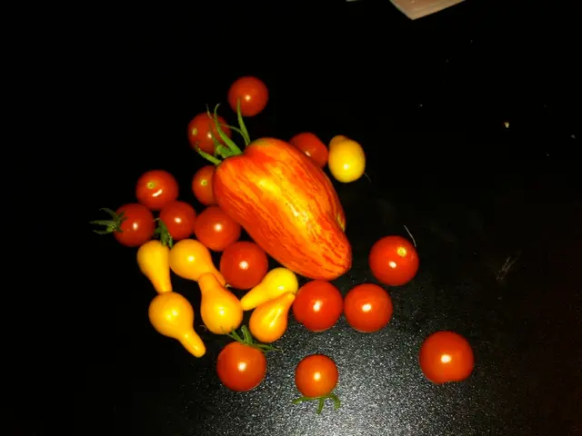 Unveiling the Wellness Wonders: Delving into the Health Advantages of Rare, Tropical Fruits