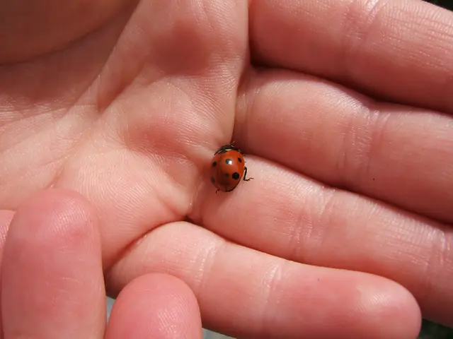 Raynaud's Phenomenon: An Examination of a Recurring Vascular Condition Marked by Fingertip and Toe...