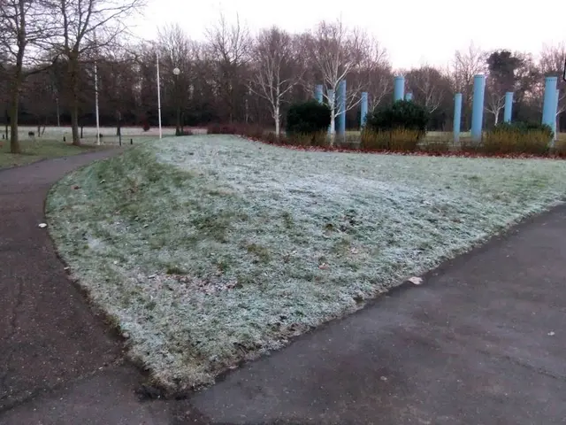 Artificial Intelligence and Blazpay Form Alliance for AI-Based Bio-Computing Decentralized Finance