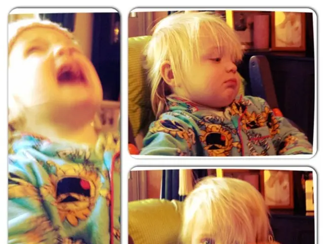 Exploring the Intricacies of Post-Traumatic Stress Disorder's aftermath