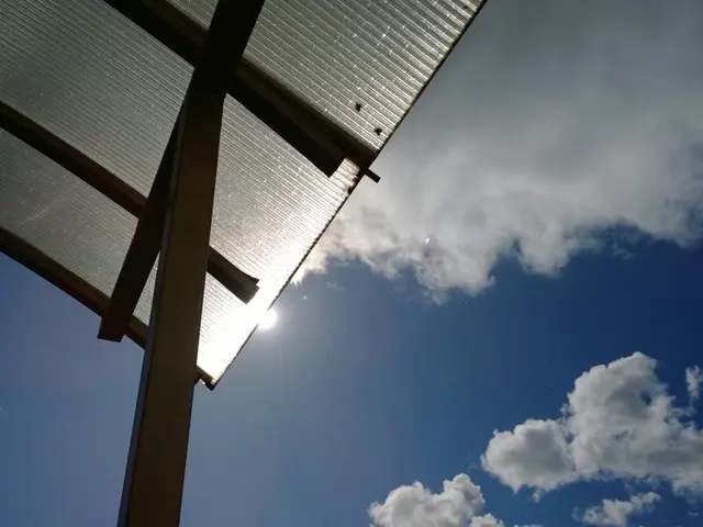 Life expectancy for individuals diagnosed with esophageal cancer: An overview