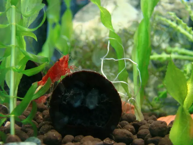 Artificial Biological Circuits Carry Out Logical Operations and Retain Outcomes