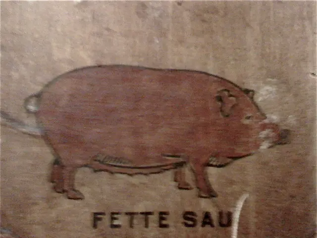 Transplant Recipient of Pork Organs, Holding the Record for Longest Survival, Describes Herself as...