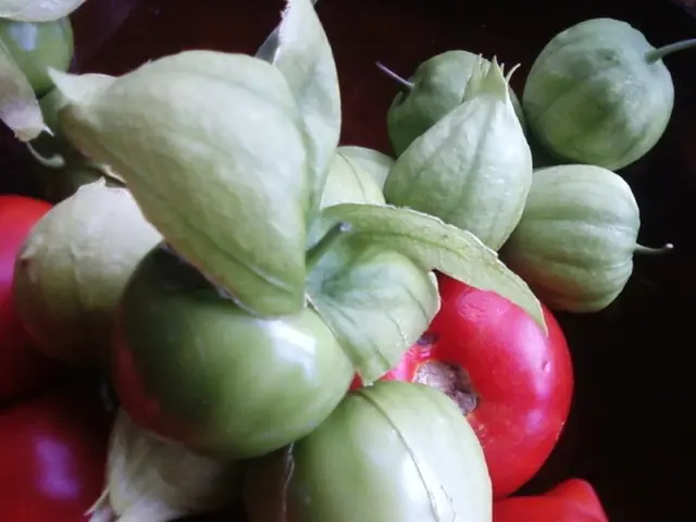 Hardy Plants for Robust Permanent Gardens