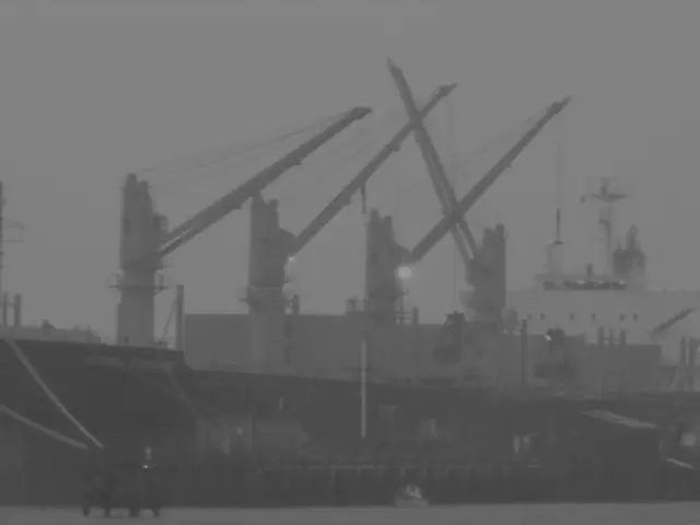 Diana Ross cancels appearance at cruise ship naming ceremony and concert due to health concerns at...