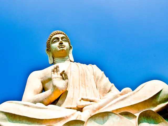 Vibrational Therapy: Recovering Equilibrium and Harmoniousness