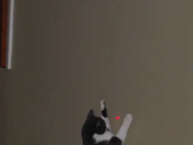 Laser hair removal complications: Dealing with hives and when to seek medical advice