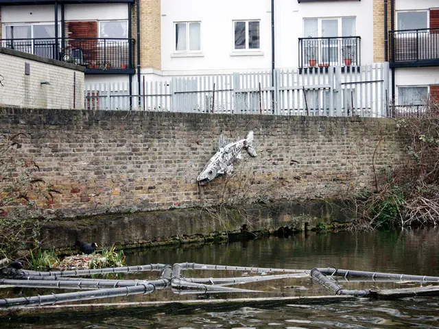 "The Safe Windows initiative persists in the Yakutia region"