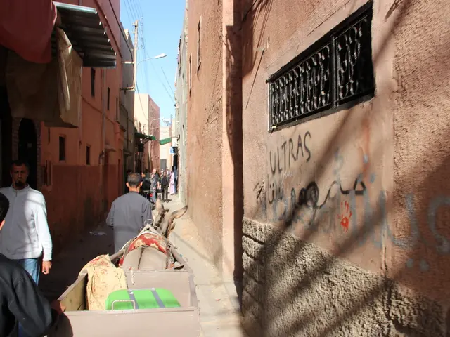 Import restrictions hamper Gaza deliveries at frontier due to administrative tangles