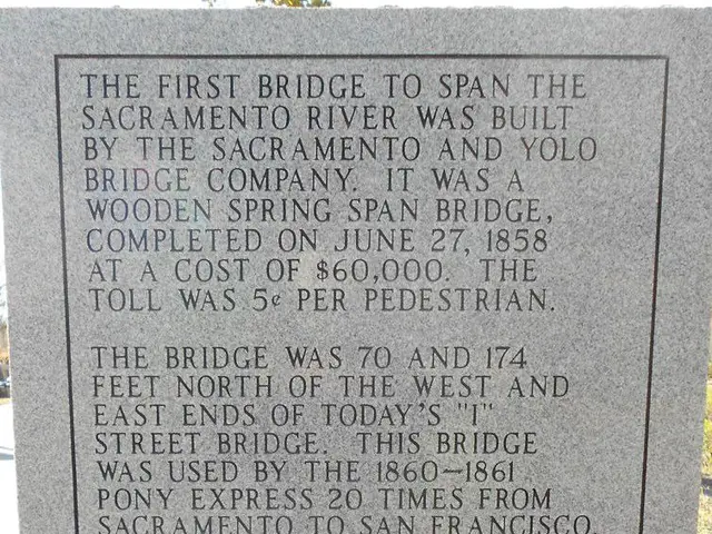 Investigating the Potential for Lithium Replacement to Ward Off Alzheimer's