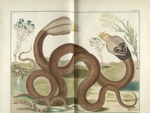 Dysautonomia: Examination of Life Expectancy and Additional Factors