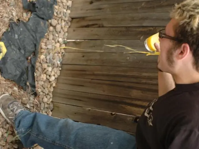 Stress-Related Bowel Issues: Triggers and Potential Remedies