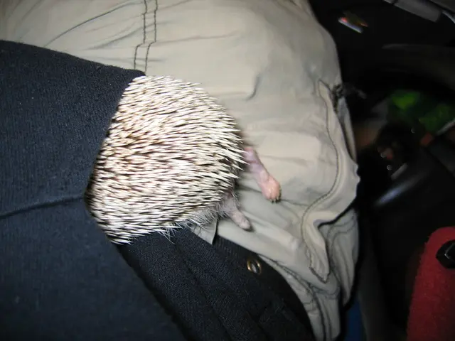 "No need to reveal details about household animals"