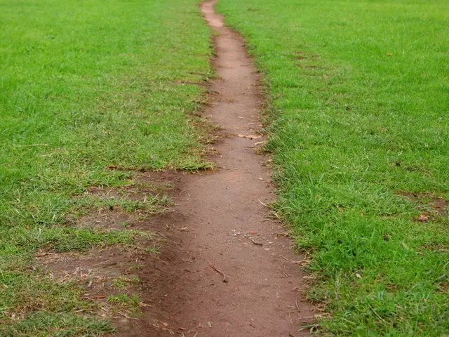 Cyclic AMP Signal Pathways through Adenylyl Cyclase Variations