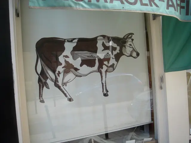 Researchers honored with the Ig Nobel Prize for investigating whether painting cows with stripes...