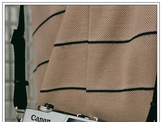 Düsseldorf's Sex Offence Investigation Yields Results - Arrests Made - Suspects Held - Commission...