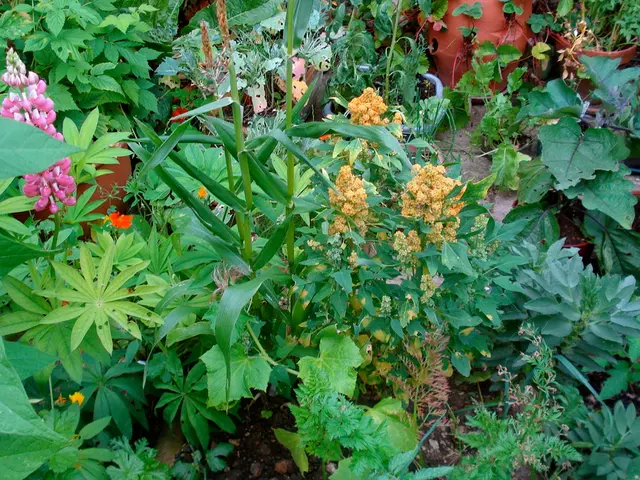 Exploring the Psychological Aspects of Botanical Therapy and Enhancing Mental Health through Floral...